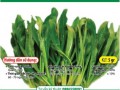 Hạt Giống Mầm Cải Lớn - Gói 20g