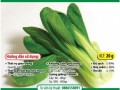 Hạt Giống Rau Dền Xanh - Gói 20g